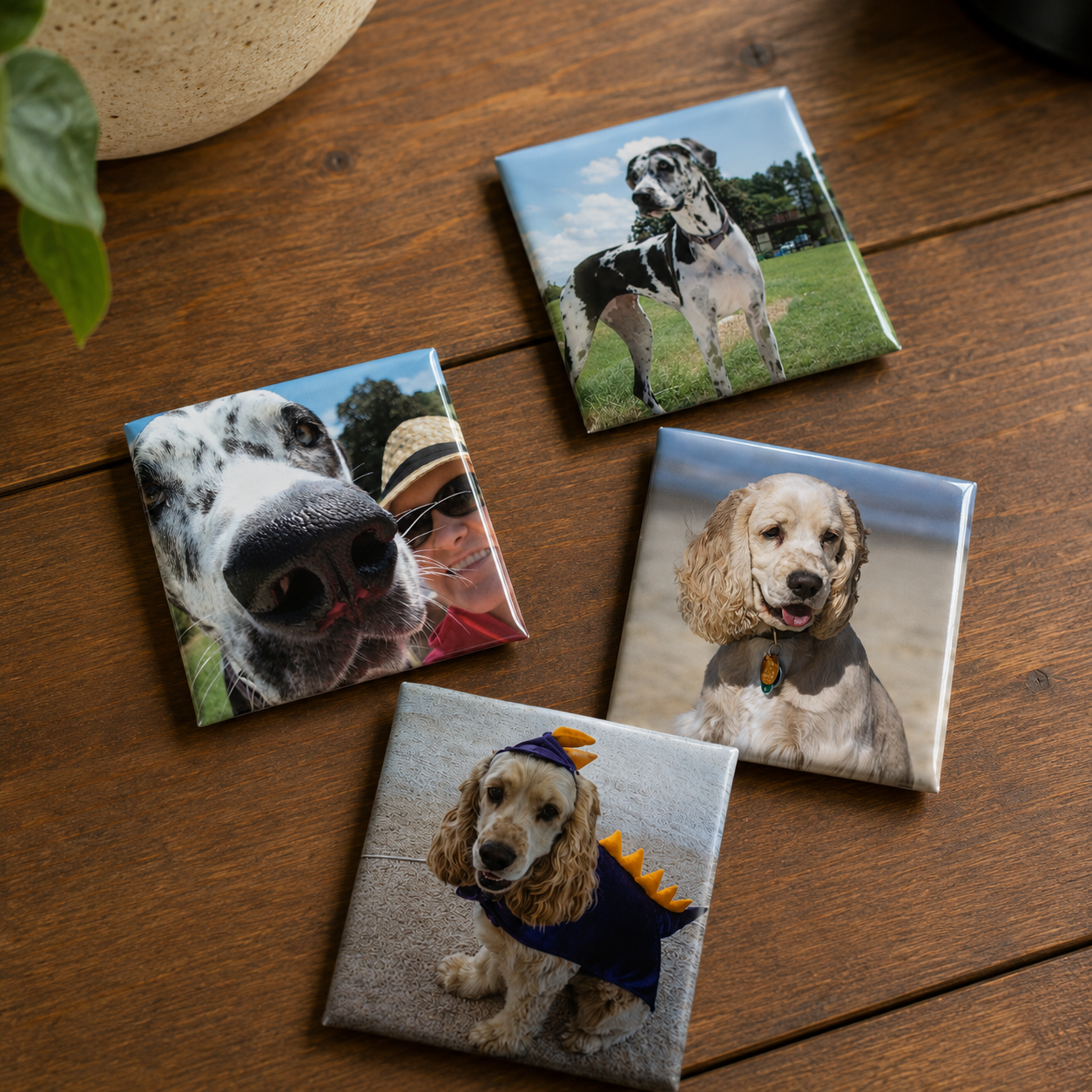 Custom Photo Magnet Set (2.5"x2.5")